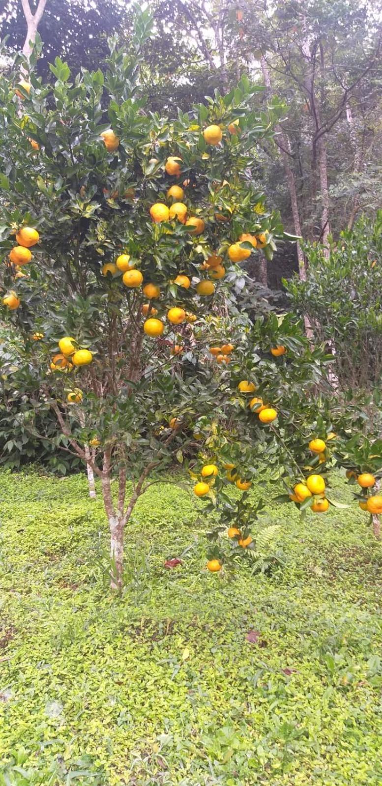 Fazenda Piloes Villa Petrópolis Exterior foto